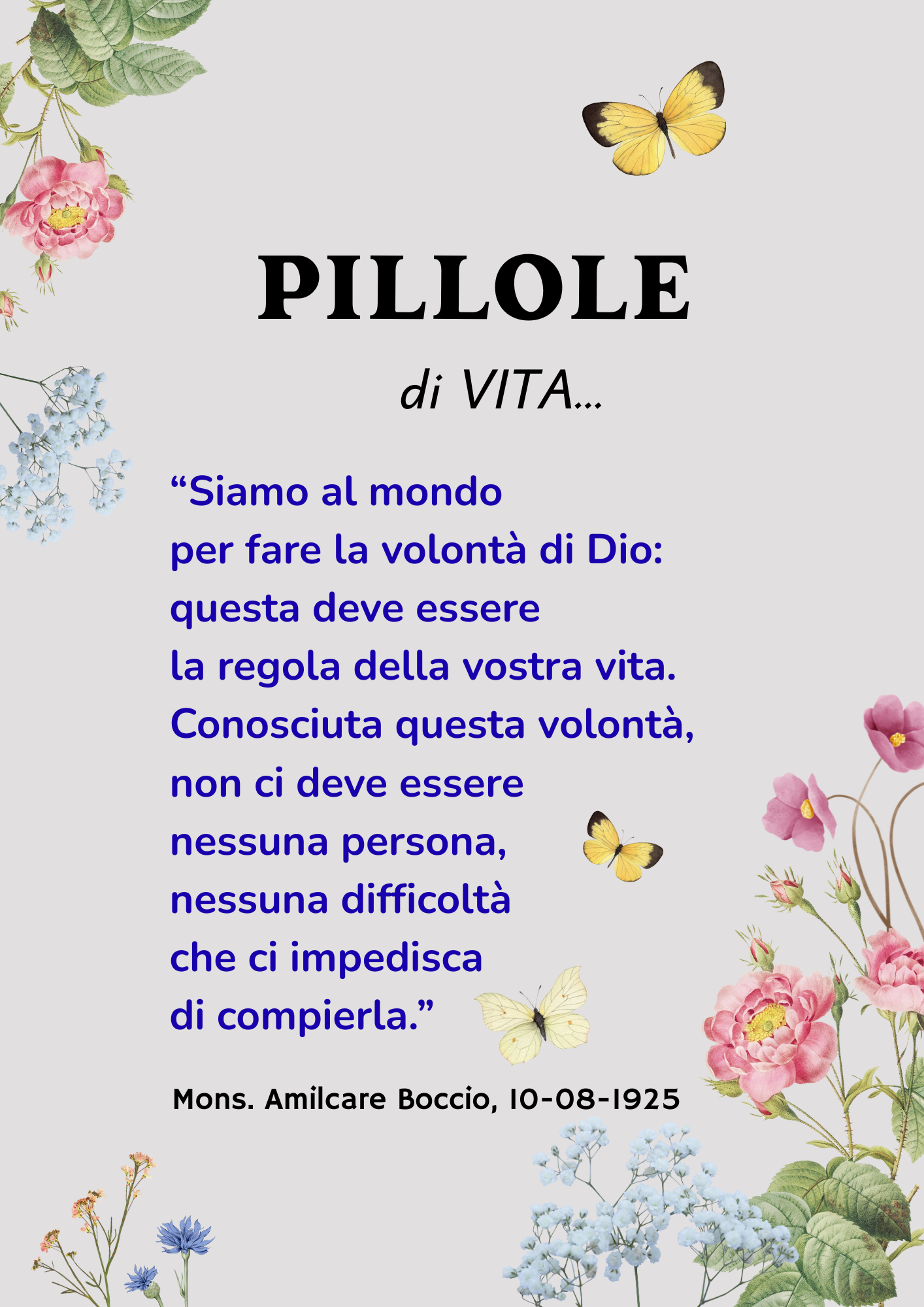 Piccole Figlie del Sacro Cuore di Ges&ugrave;